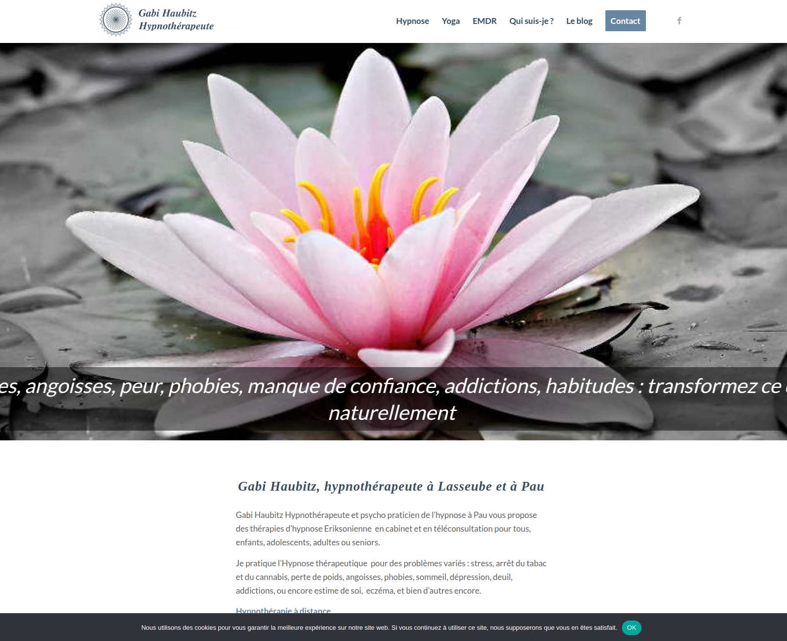 Hypnosis Pau - site desktop